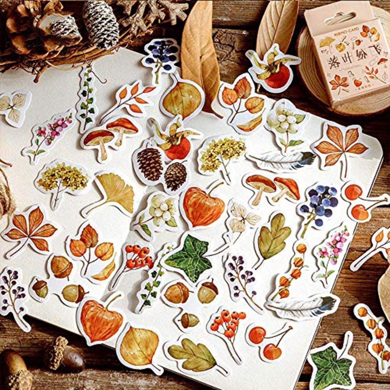 46 Pieces Small Size Fall Scrapbooking Laptop Stickers, Doraking Boxed DIY Decoration Autumn Leaves Stickers for Laptop, Planners, Scrapbook, Suitcase, Diary, Notebooks, Album(Falling Leaves, 46pcs/ Box)